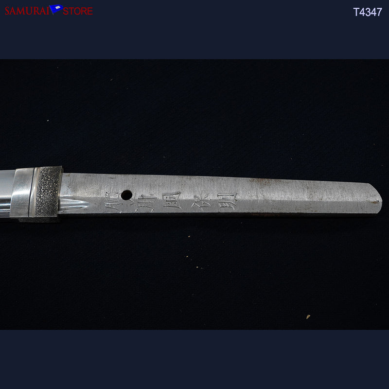 T4347 Katana Sword YASUNORI in Ornate Mounting - Contemporary Bo-Hi