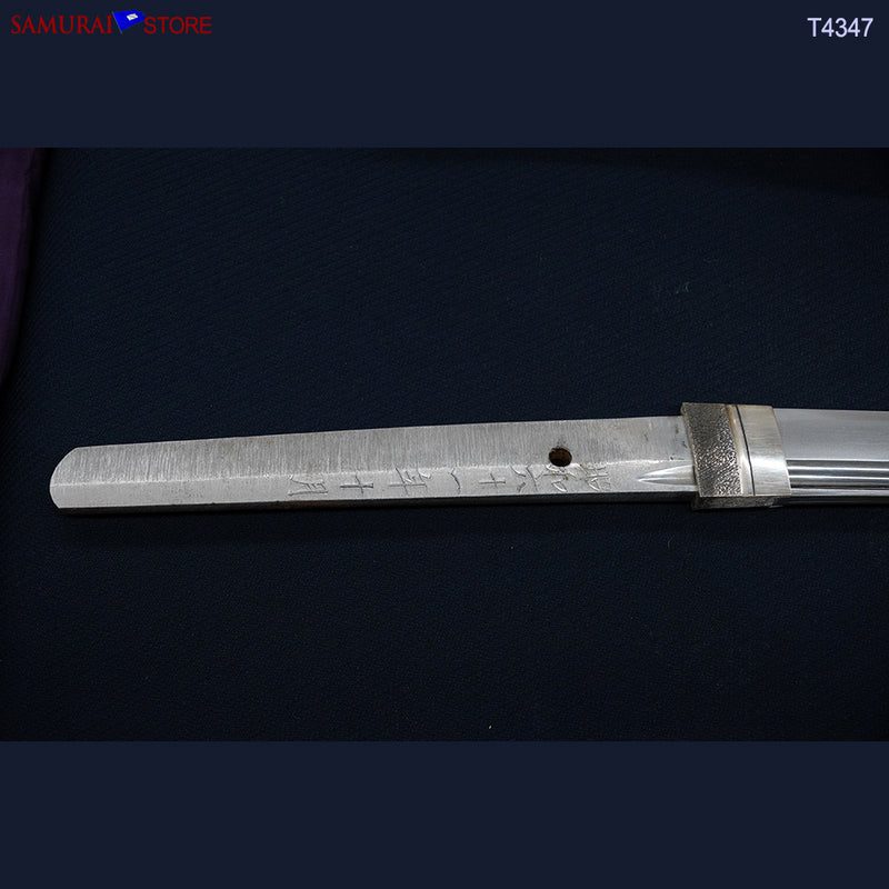 T4347 Katana Sword YASUNORI in Ornate Mounting - Contemporary Bo-Hi