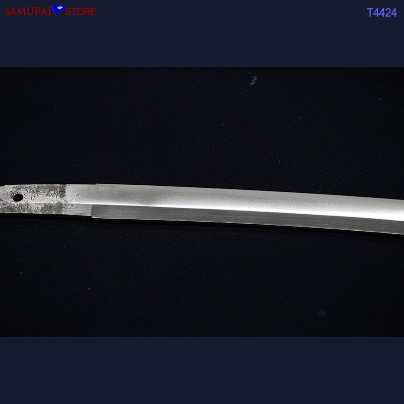 T4424 Wakizashi Sword ENSHIN - Antique NBTHK Hozon certificated