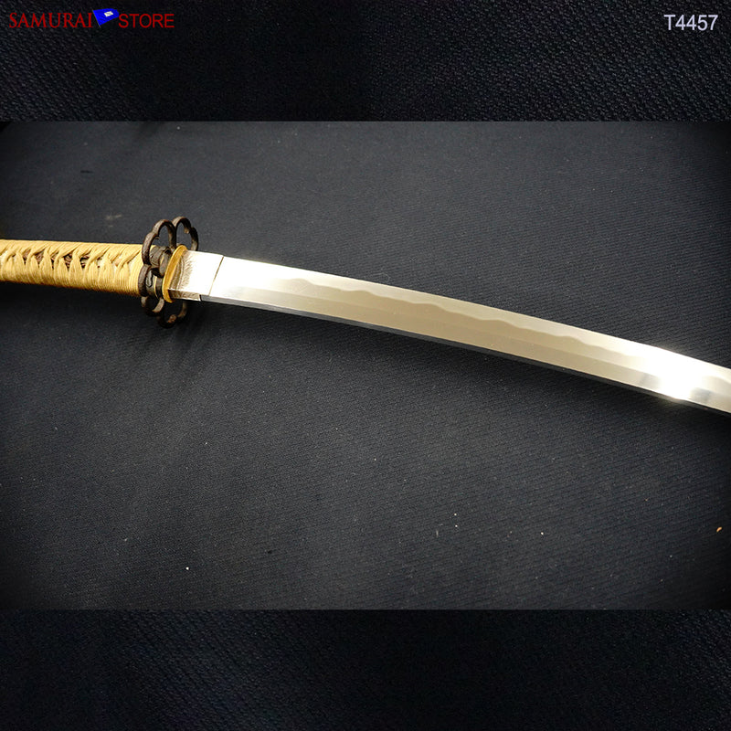 T4457 Katana Sword MORITOSHI w/ Antique Ornate Mountings NBTHK Hozon certificated