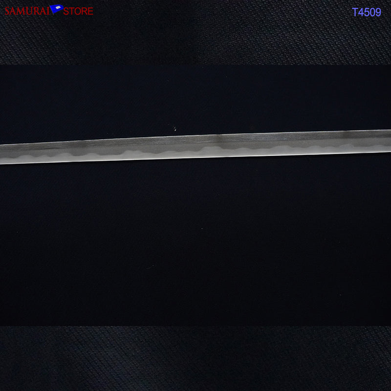 T4509 Antique Katana Sword KANEMASA - NBTHK Hozon certificate Edo period