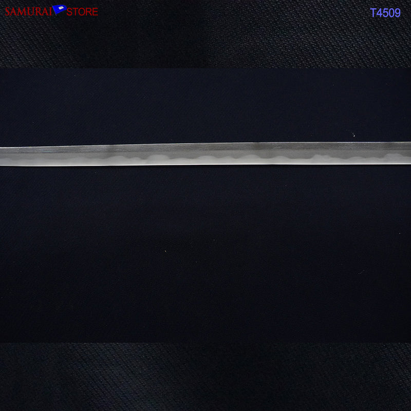 T4509 Antique Katana Sword KANEMASA - NBTHK Hozon certificate Edo period