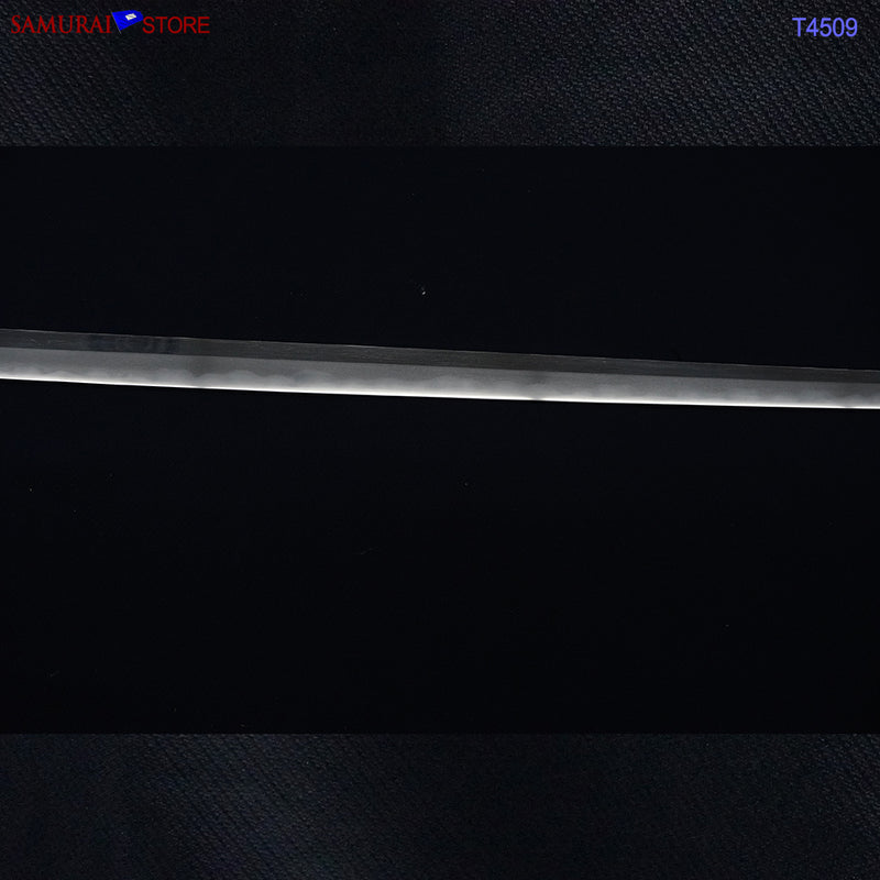 T4509 Antique Katana Sword KANEMASA - NBTHK Hozon certificate Edo period