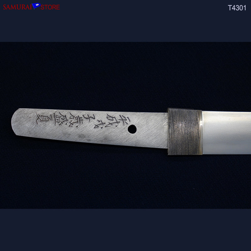 T4301  Wakizashi Sword MASAAKI - Contemporary